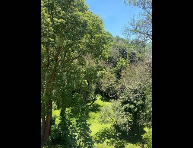 4 BEDROOM APARTMENT TO LET IN CLARENDON